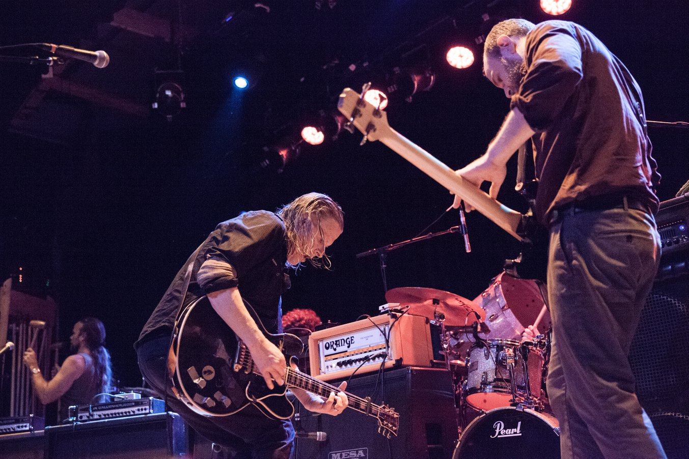 Swans